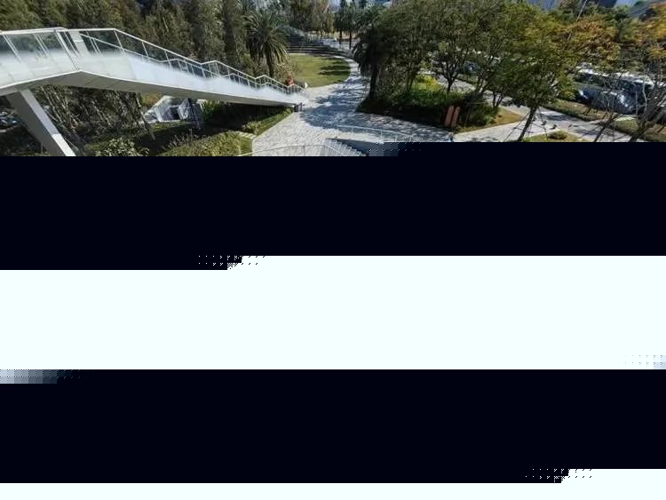 行过花街才算年！2024深圳各区迎春花市超全攻略开云网站(图8)