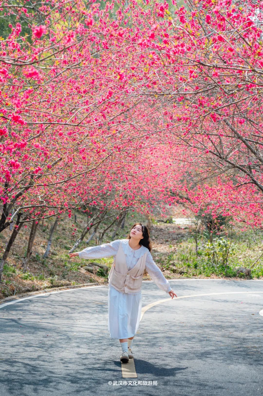 黄陂有一山谷现在开满鲜花(图7)