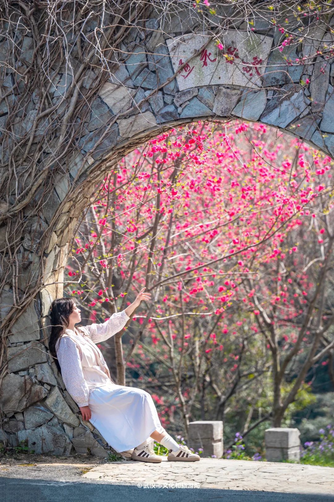 黄陂有一山谷现在开满鲜花(图10)