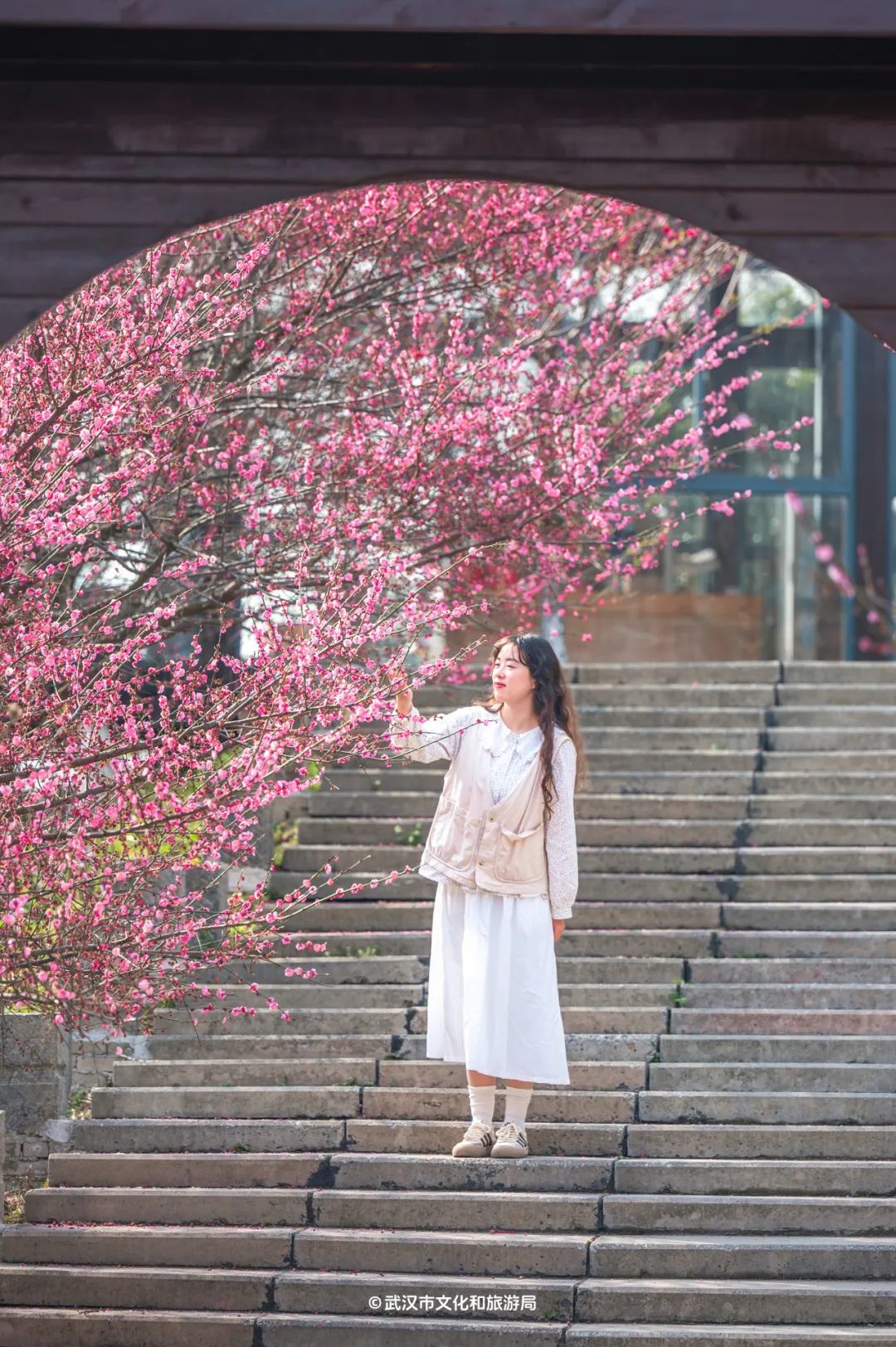 黄陂有一山谷现在开满鲜花(图9)
