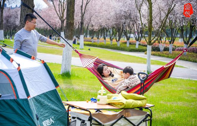 潼南赏花地图：鲜为人知的航电公园红叶李如一条美丽的鲜花隧道(图2)