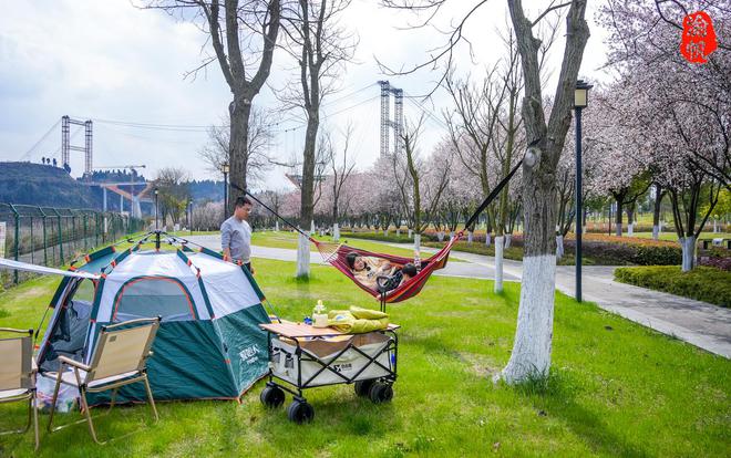 潼南赏花地图：鲜为人知的航电公园红叶李如一条美丽的鲜花隧道(图8)