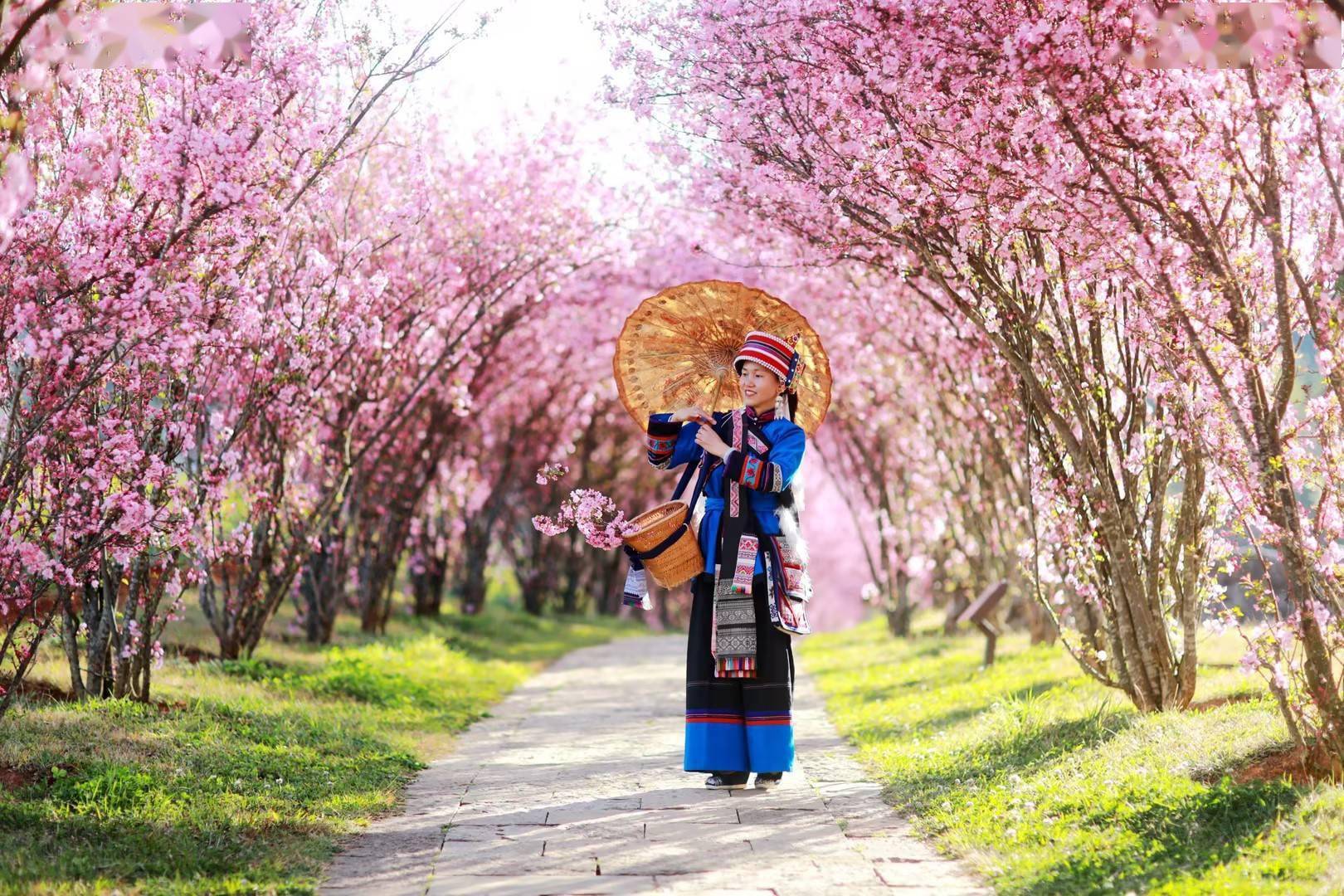 2024年石林旅游开门红游客量突破91万人(图2)