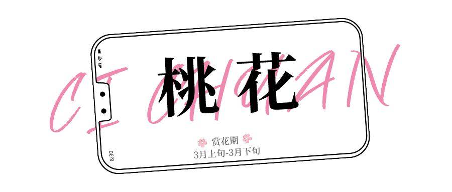2024年第一波花朵已经如海绽放！(图2)