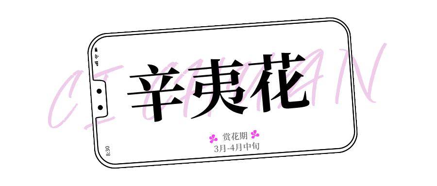 2024年第一波花朵已经如海绽放！(图7)