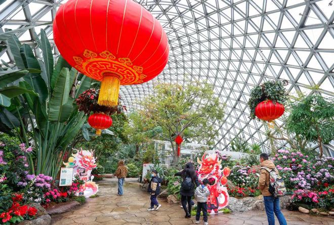 百分百出片率！辰山植物园2024迎春花展来了龙年还有这些惊喜→(图2)