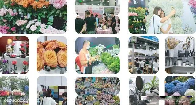 2024第15届亚洲花卉产业博览会(图1)