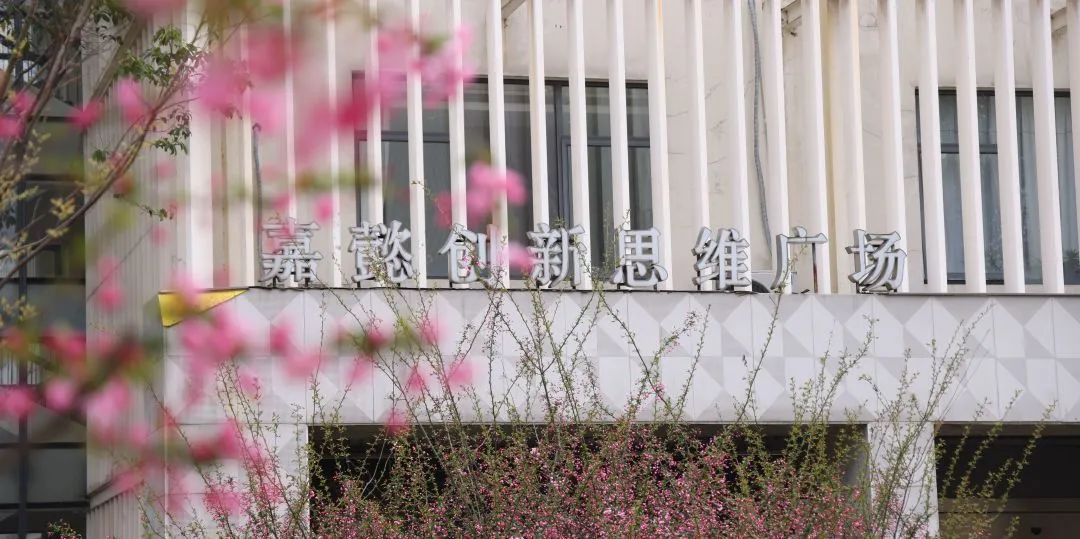 印象嘉定一中：她怀里总是蓄满鲜花(图2)
