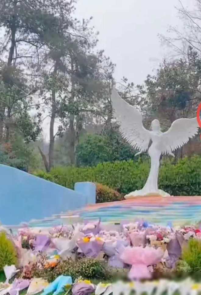 开云网站李玟去世后第一个清明节墓地摆满她最爱的紫色鲜花粉丝太暖心(图2)