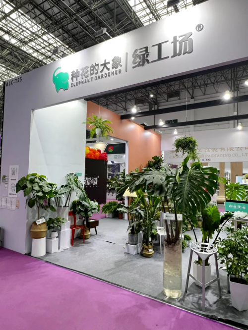 高知全职妈妈靠卖花走出抑郁她们在抖音电商用鲜花绿植重启人生(图5)