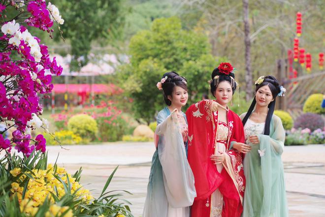 春节赏兰去大园！华南国家植物园2024新春珍奇兰花展开锣(图3)