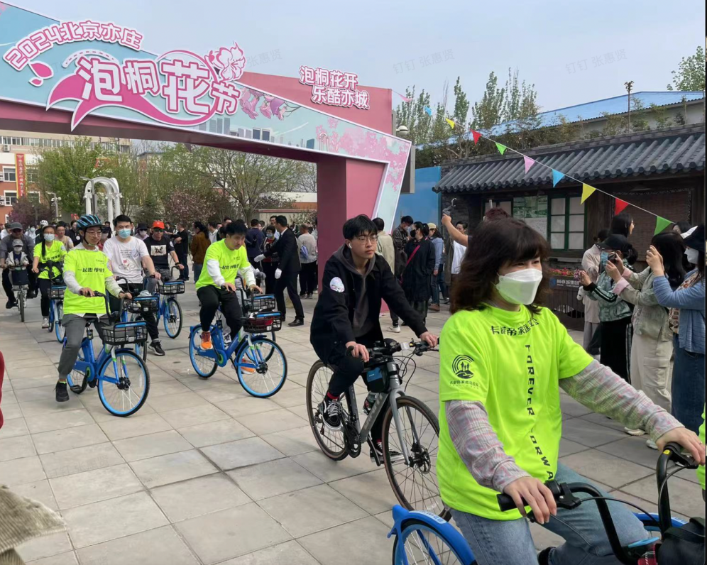 共享单车车篮里开出鲜花北京亦庄迎来泡桐花盛宴开云kaiyun(图1)