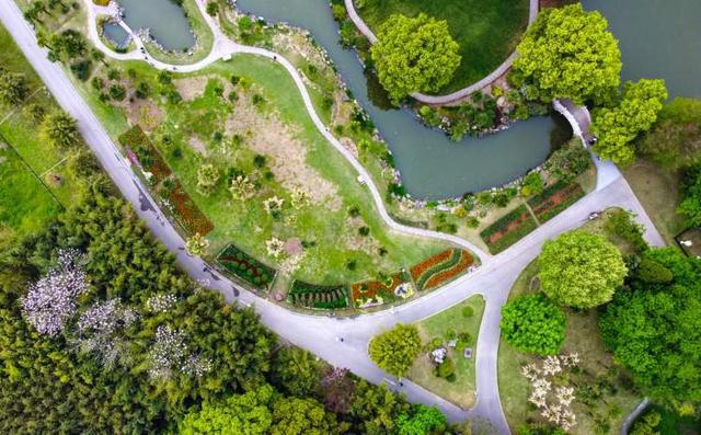 上海首个冷温室、1500米滨江花路、“鲜花巴士”……全城上新的这些花艺网红打卡点别错过(图6)