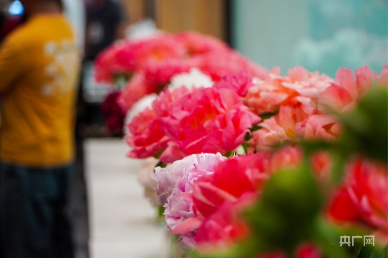 “鲜花引进来走出去”山东菏泽芍药通过昆明鲜花交易市场走向全国(图1)