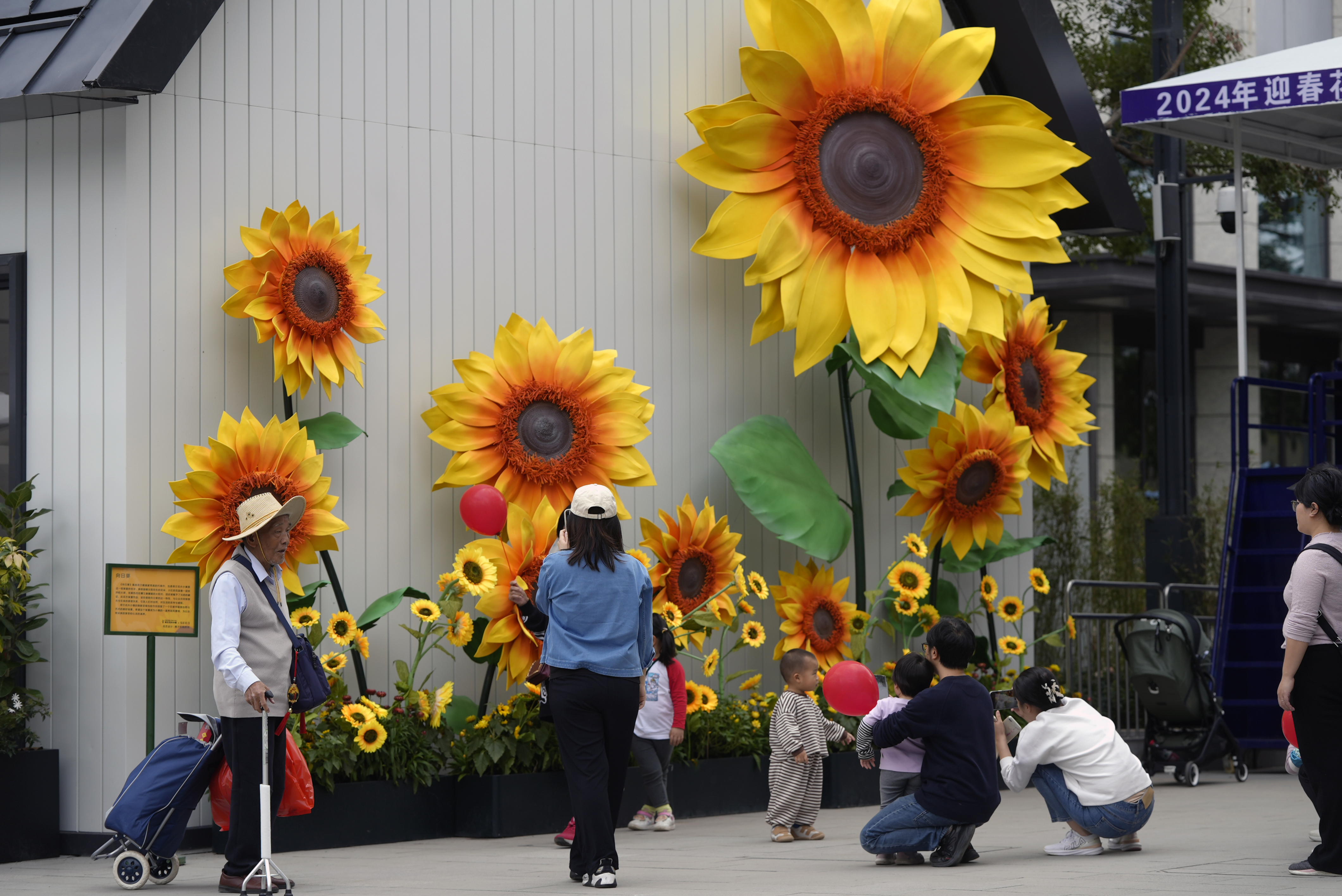2024南山区迎春花市开幕串联荷兰花卉小镇、中山公园和南头古城为市民打造高品质购花点和游玩地(图1)