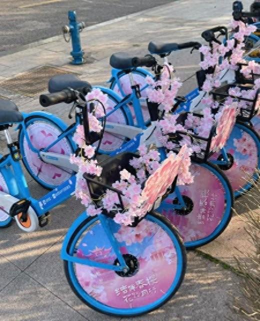 哈啰主题花卉车即将面世昆明(图1)