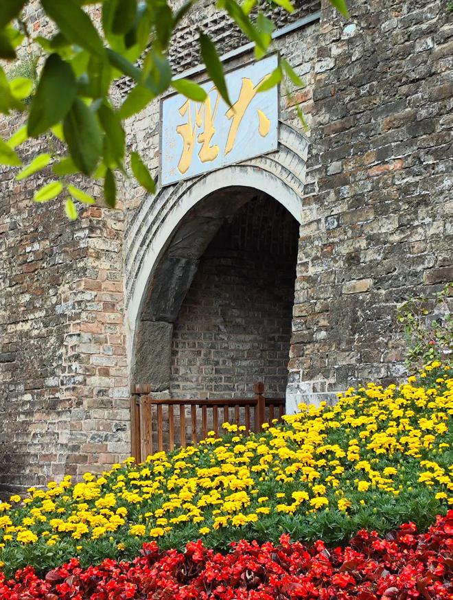 鲜花扮靓城市大理“盛装”迎“双节”(图3)