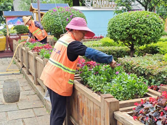 鲜花扮靓城市大理“盛装”迎“双节”(图6)