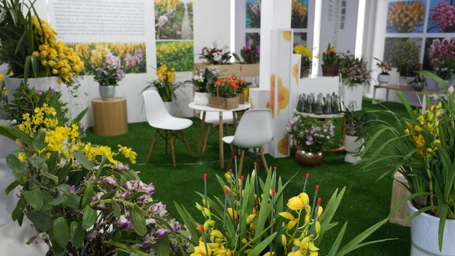 全球花卉头部企业齐聚成都炫花技(图4)