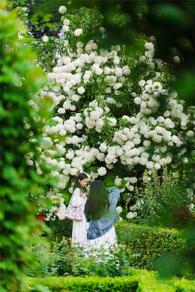 全球花卉头部企业齐聚成都炫花技(图8)