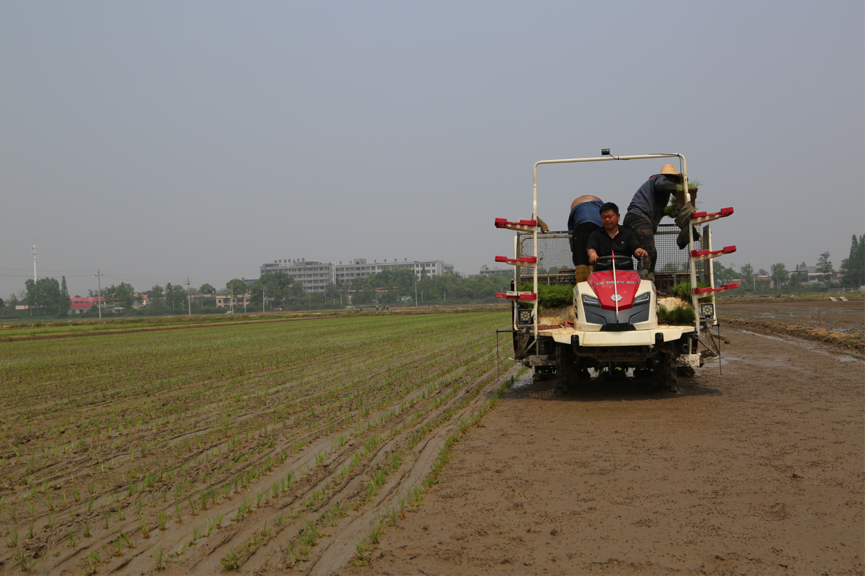 开云kaiyun新槽渡“活水”灌区育丰年——韶山灌区现代化改造项目效益增强(图2)