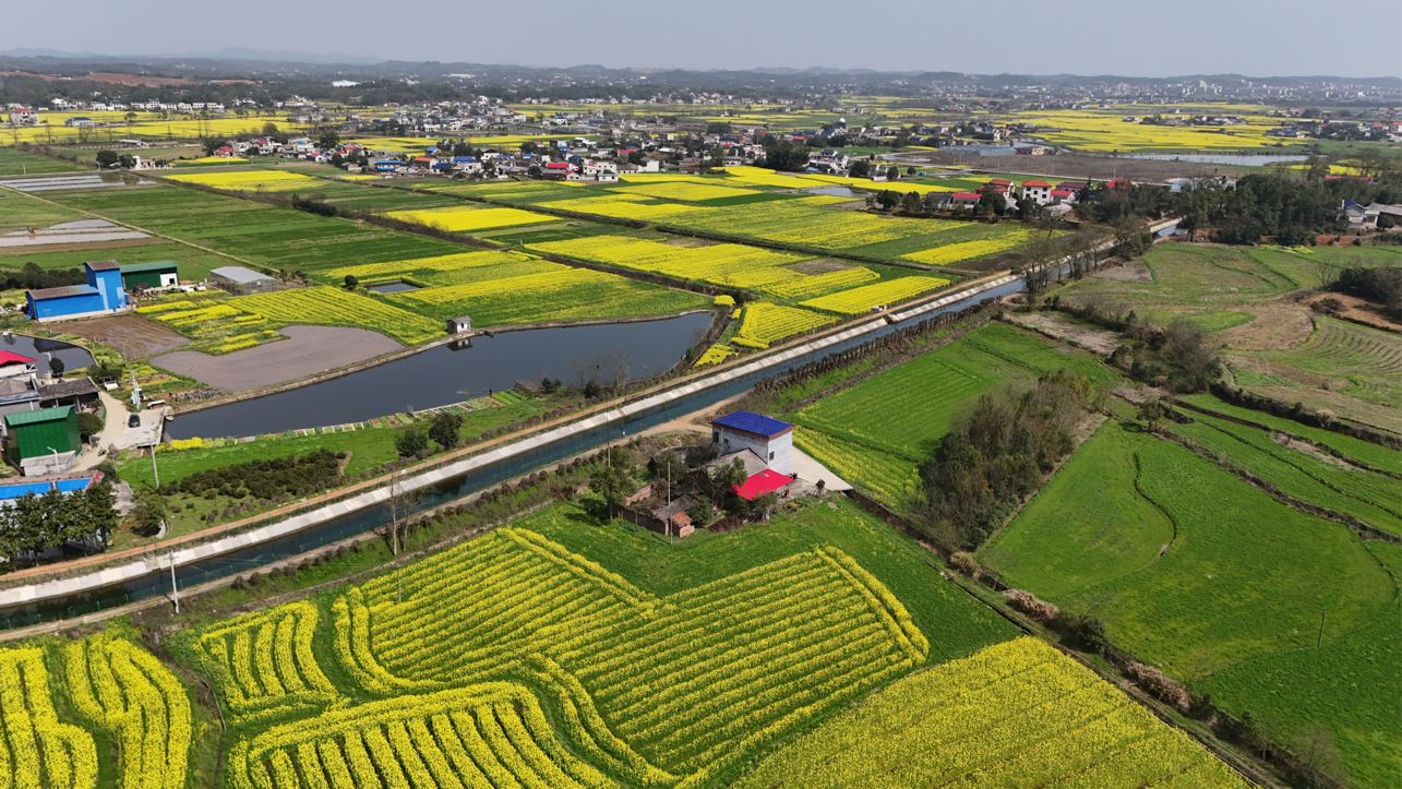 开云kaiyun新槽渡“活水”灌区育丰年——韶山灌区现代化改造项目效益增强(图3)