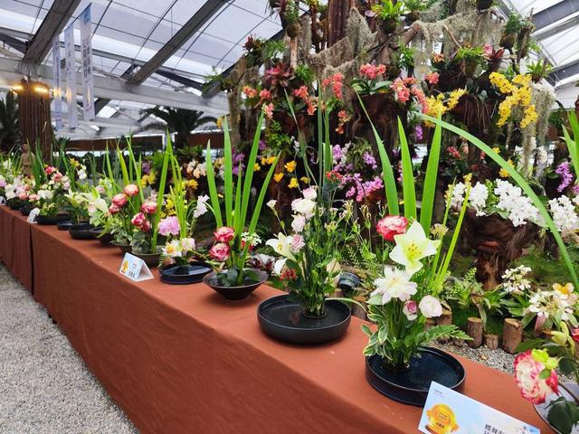 kaiyun网页版迎接成都世园会这场花卉产业研习营以花为媒促进两岸交流合作(图2)