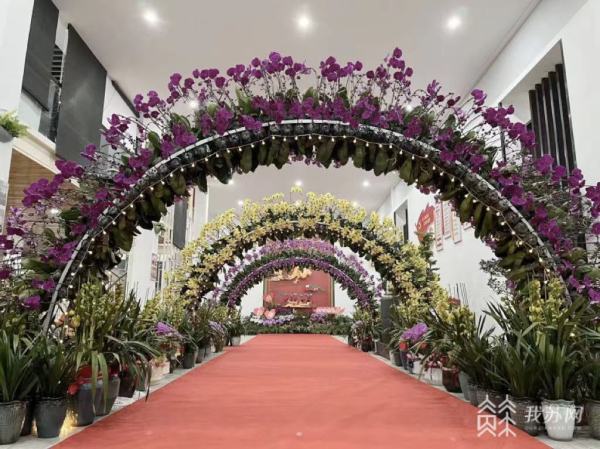 2024元旦·消费观察丨赏开云网站兰花品花茶秀汉服听古筝……2024年第一场国风花展来了(图2)