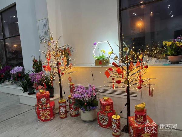 2024元旦·消费观察丨赏开云网站兰花品花茶秀汉服听古筝……2024年第一场国风花展来了(图6)