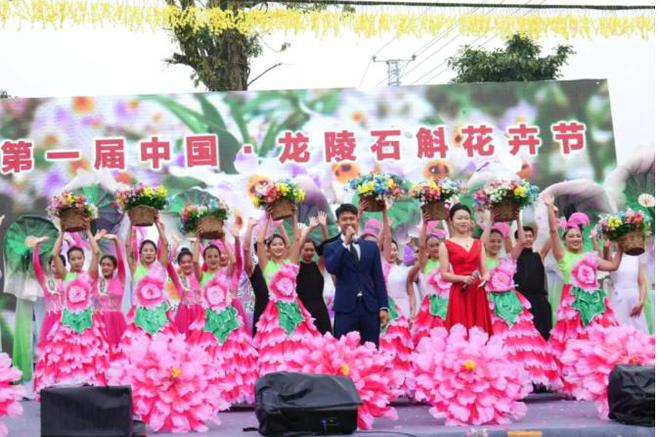 开云kaiyun探索仙草秘境共赴石斛花海盛宴！首届中国·龙陵石斛花卉节开幕(图3)