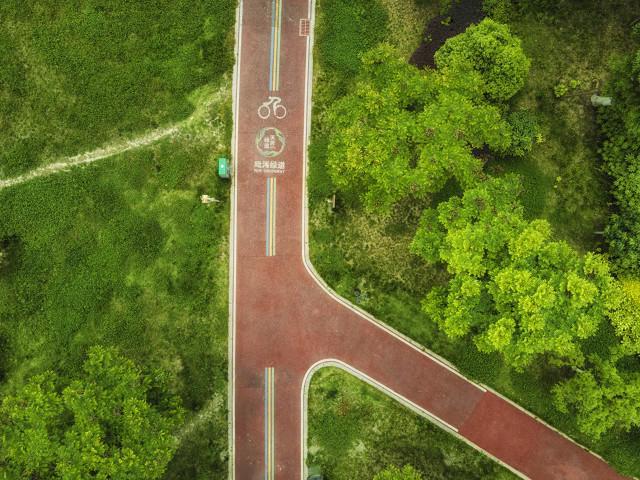 成都市2024年“二月花市年宵花会”将于2月3日开市(图2)