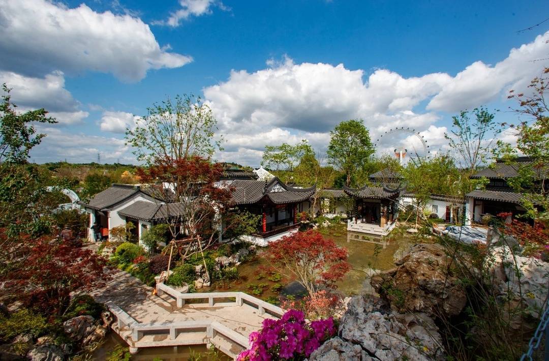 2024年成都世界园艺博览会开幕来看攻略！花卉园艺领域的“奥林匹克”这样逛(图2)