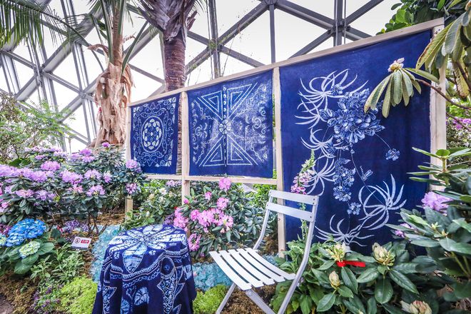 kaiyun网页版年味儿·上海｜龙跃繁花间上海辰山植物园2024迎春花展启幕(图5)