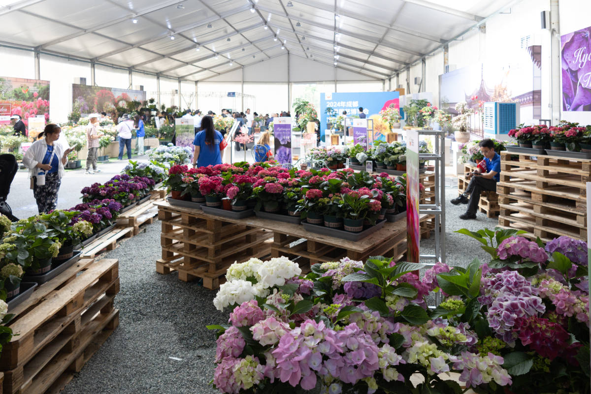 2024杭州花卉园艺展：汇聚世界园艺精华(图1)