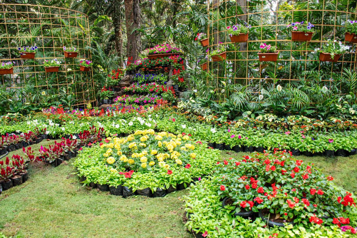 2024杭州花卉园艺展：汇聚世界园艺精华(图2)