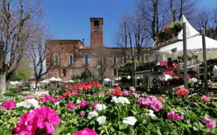 春暖花开皮埃蒙特2024年8个不从容错过的花卉博览会和展览(图11)