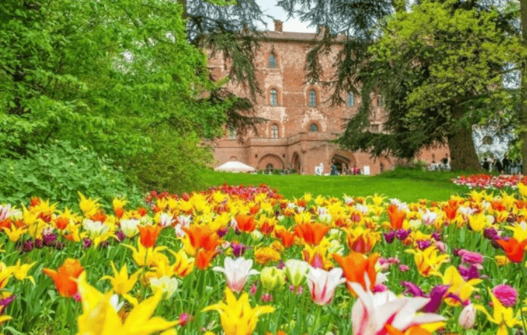 春暖花开皮埃蒙特2024年8个不从容错过的花卉博览会和展览(图2)