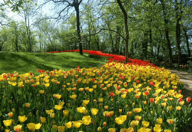 春暖花开皮埃蒙特2024年8个不从容错过的花卉博览会和展览(图1)