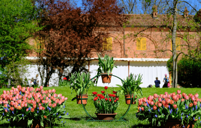 春暖花开皮埃蒙特2024年8个不从容错过的花卉博览会和展览(图3)