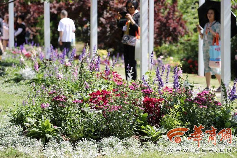 繁花盛会、6个全球首发！新优花卉品种集中在西安植物园展示(图3)