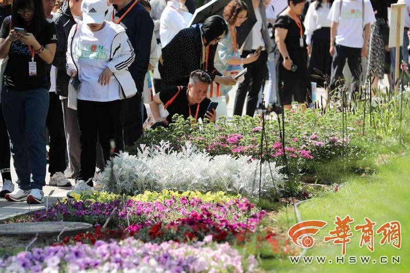 繁花盛会、6个全球首发！新优花卉品种集中在西安植物园展示(图4)