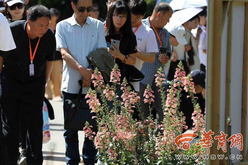 繁花盛会、6个全球首发！新优花卉品种集中在西安植物园展示(图5)