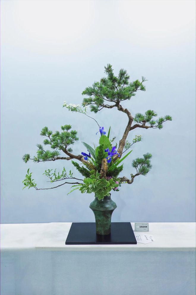 花城花事2024广州国际花艺节暨亚洲花卉产业博览会开幕开云kaiyun(图6)