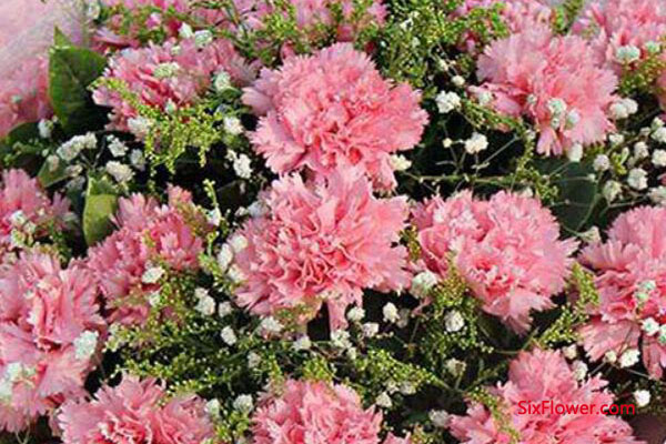 六朵花鲜花店(图2)