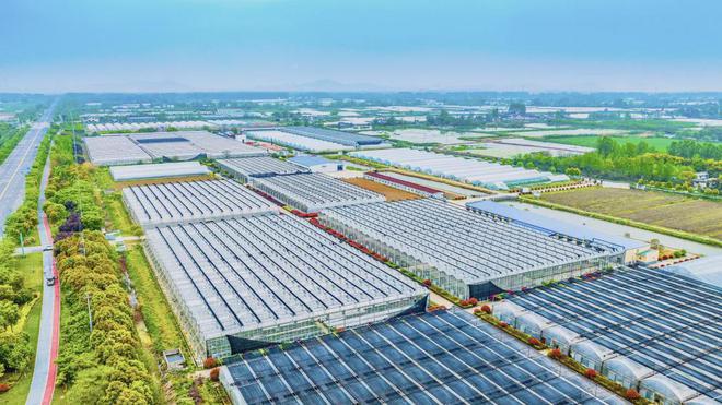 2024中国蔬菜产业大会！收藏这份保姆级攻略出发kaiyun网页版(图1)