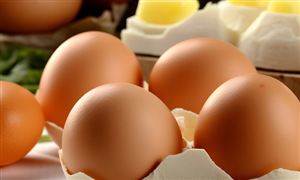 2024鲜花产业发展现状及企业规模分析(图4)