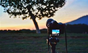 2024鲜花产业发展现状及企业规模分析(图6)