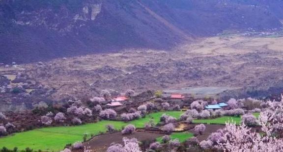 2024全国赏花地图3-8月值得去的6个重磅花海绝美花期全部落(图1)