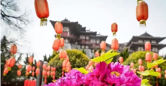 2024全国赏花地图3-8月值得去的6个重磅花海绝美花期全部落(图3)