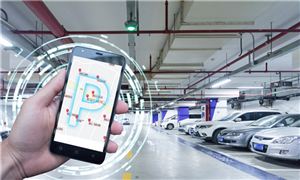 2024年鲜花产业现状及未来发展趋势一天狂卖近1000万枝昆明鲜花市场卖爆了(图5)